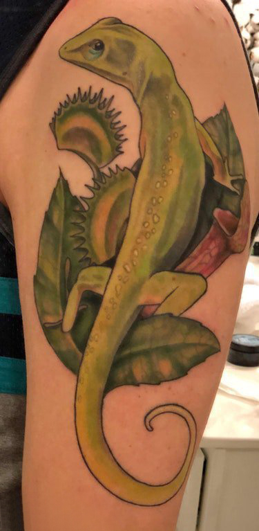蜥蜴纹身图案 男生大臂上植物和蜥蜴纹身图片