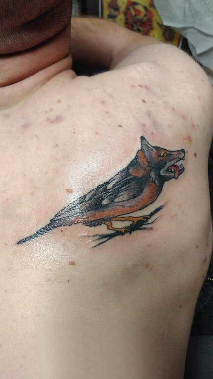 百乐动物纹身 男生后背上狼头和鸟纹身图片