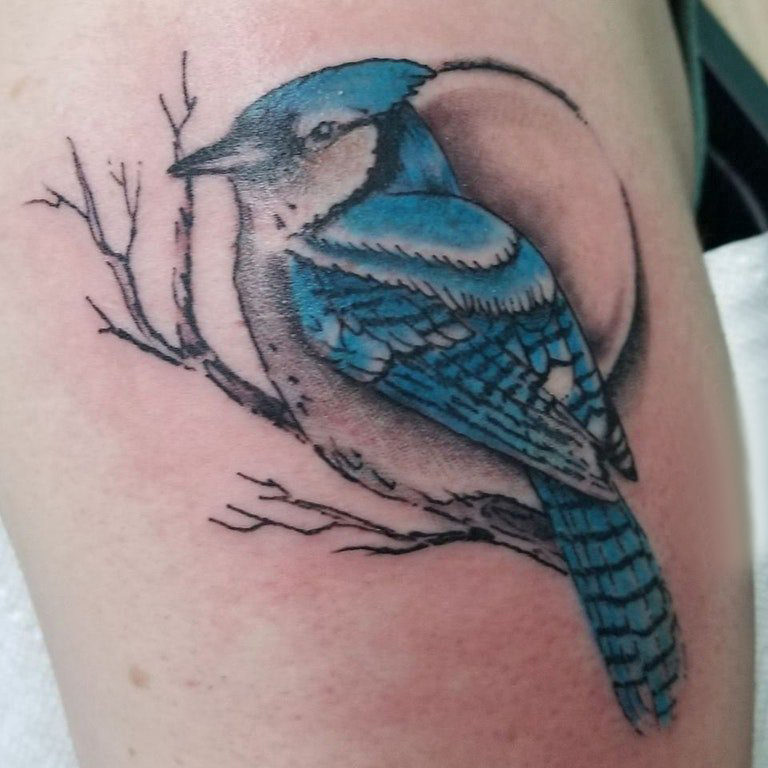 纹身鸟  男生手臂上鸟和树枝纹身图片