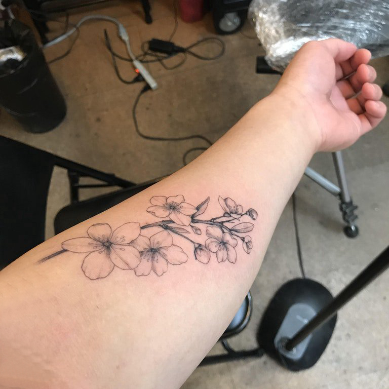 樱花纹身 女生手臂上黑灰的樱花纹身图片