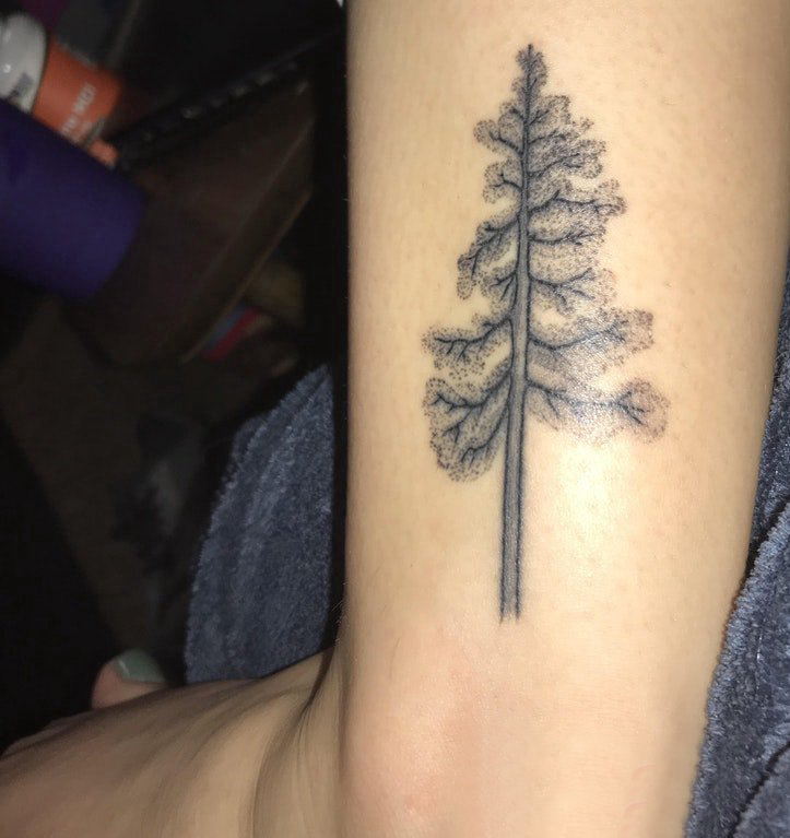 植物纹身 男生手臂上茂密的大树纹身图片