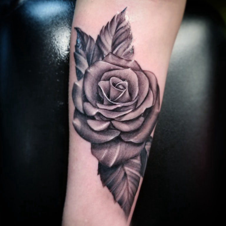 纹身玫瑰花  女生小臂上黑灰色的玫瑰花纹身图片