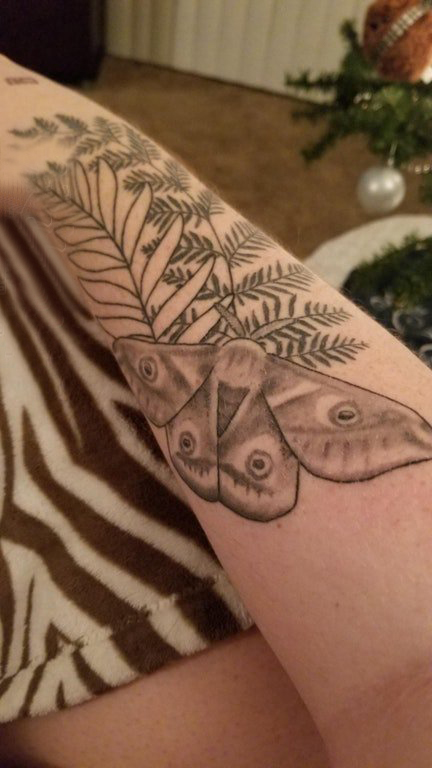 手臂纹身素材 女生手臂上植物和飞蛾纹身图片