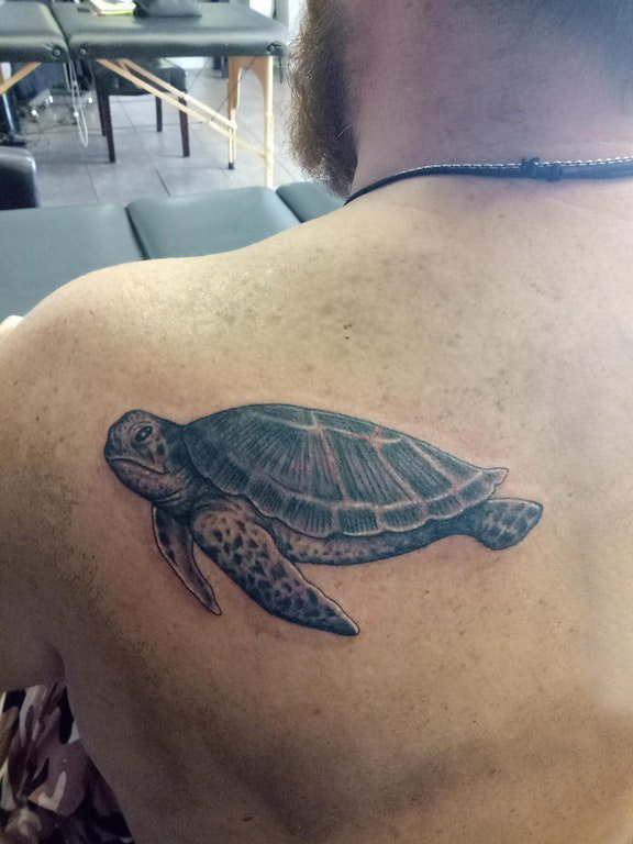 纹身后背男 男生后背上黑色的海龟纹身图片
