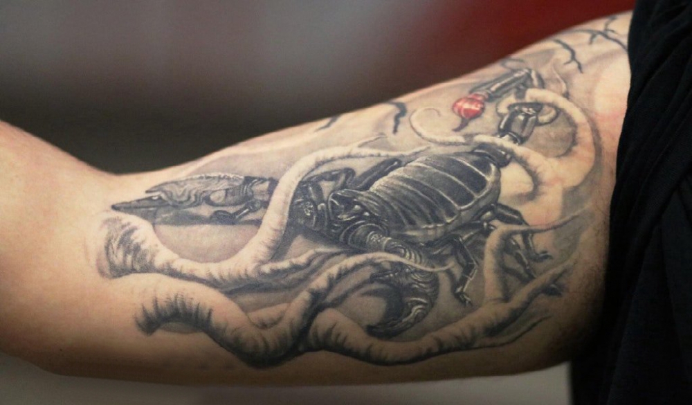 蝎子图片纹身  男生手臂上素描的蝎子纹身图片