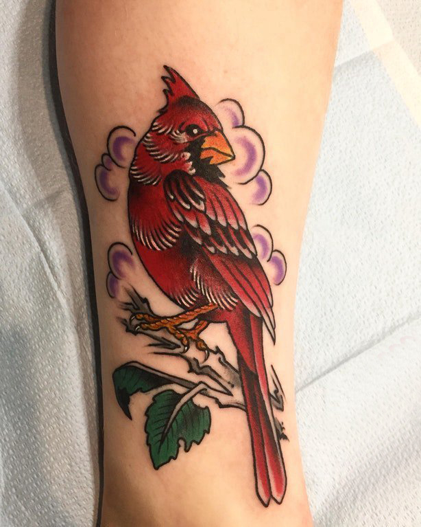 纹身鸟  女生小腿上彩绘的鸟纹身图片