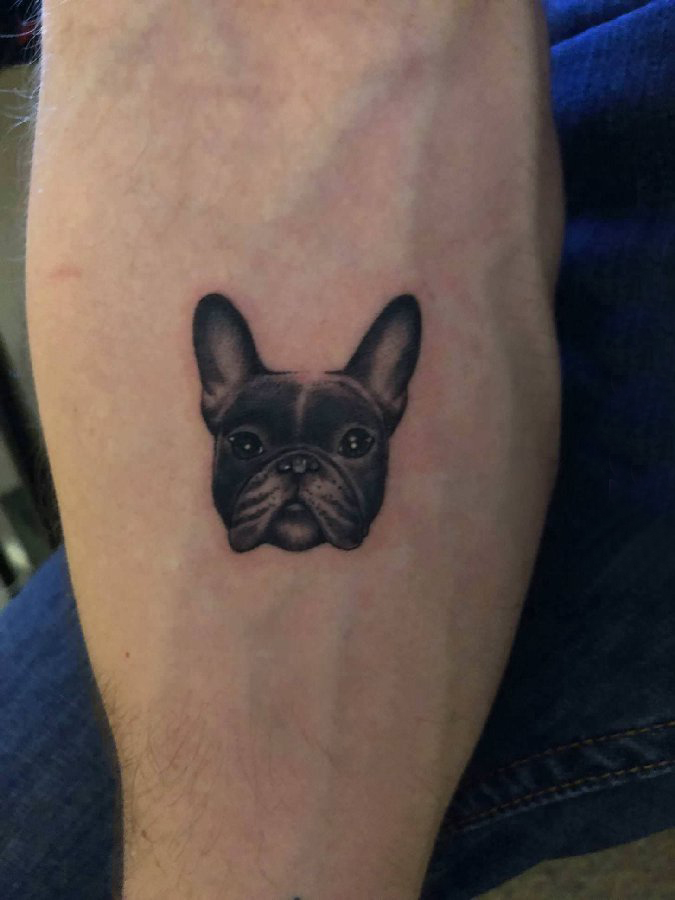 小狗纹身图片 男生手臂上黑色的小狗纹身图片
