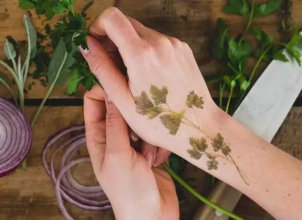 带有植物花卉香气的纹身图案