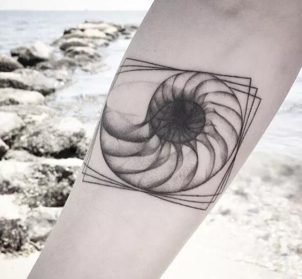 多款创意的贝壳个性纹身图案