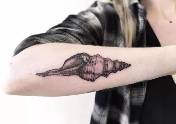 多款创意的贝壳个性纹身图案