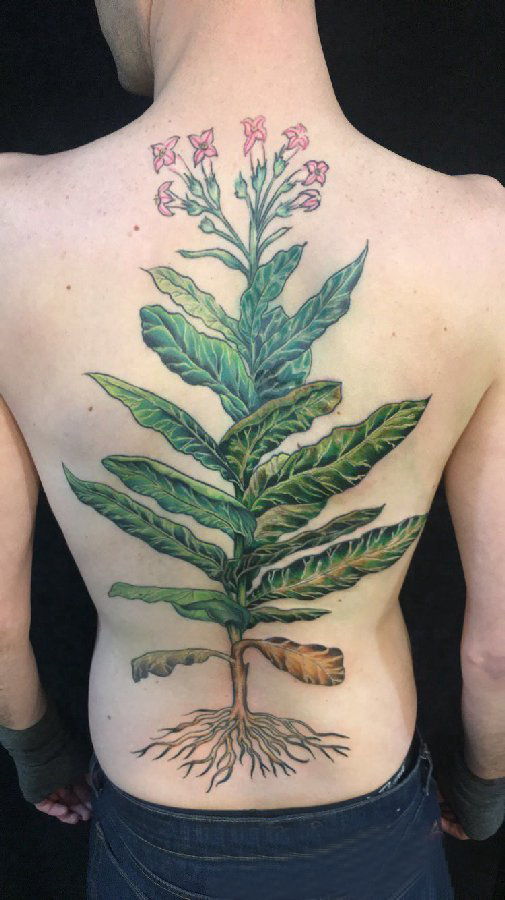 植物纹身 女生后背上翠绿的植物纹身图片