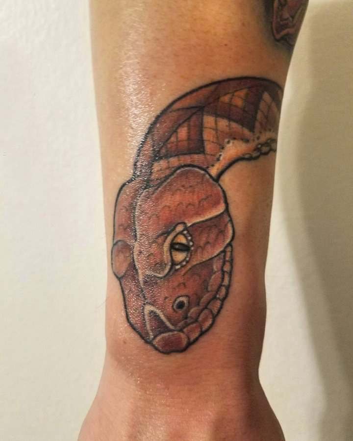纹身蛇魔 男生手臂上彩色的蛇头纹身图片