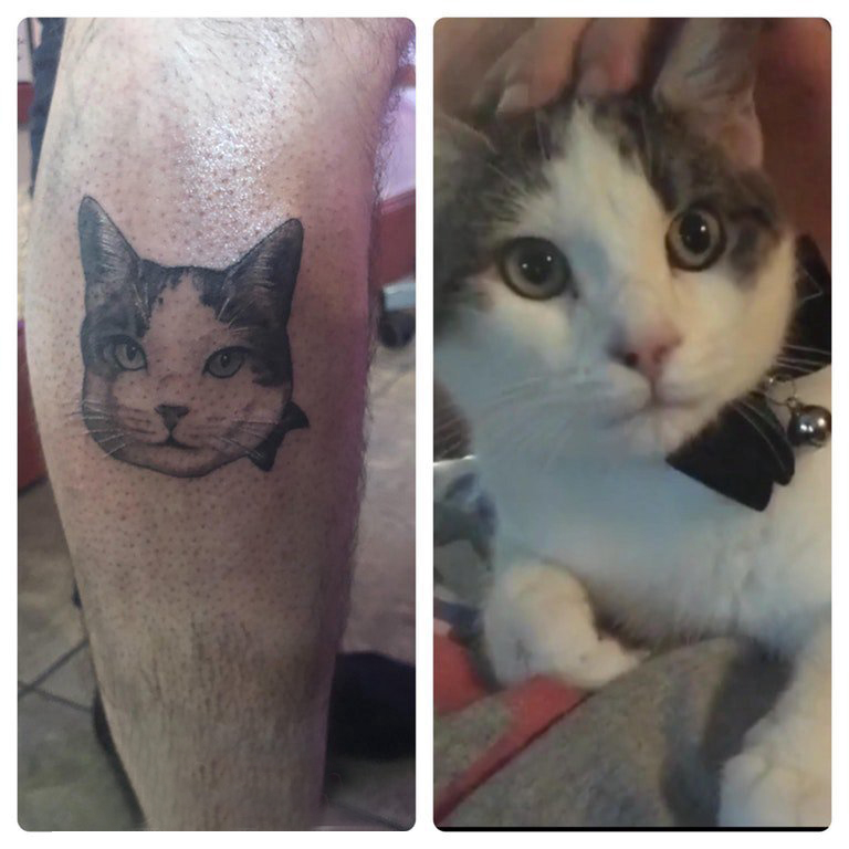 超写实纹身 男生小腿上黑色的猫咪纹身图片