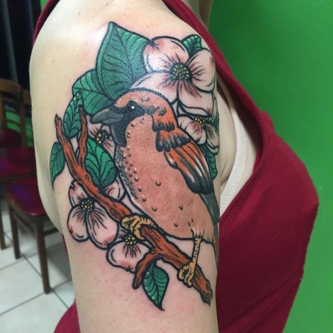 纹身鸟  小巧可爱的麻雀燕子等小鸟纹身图案
