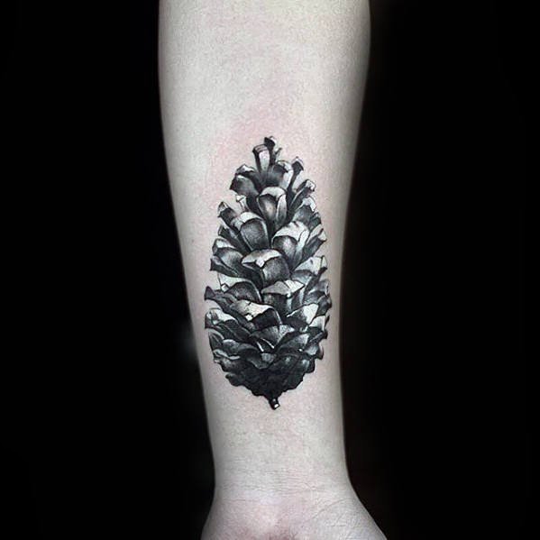 植物纹身   黑灰色调风格的松果纹身图案