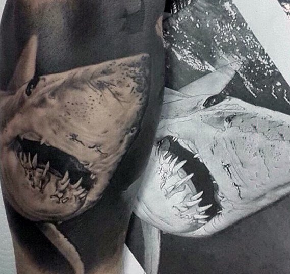 鲨鱼纹身图  凶猛的鲨鱼纹身图案