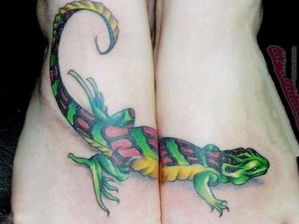 蜥蜴纹身图案  色彩斑斓的蜥蜴纹身图案