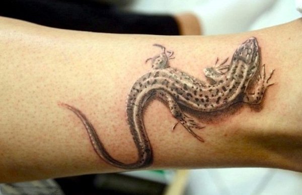 蜥蜴纹身图案  色彩斑斓的蜥蜴纹身图案