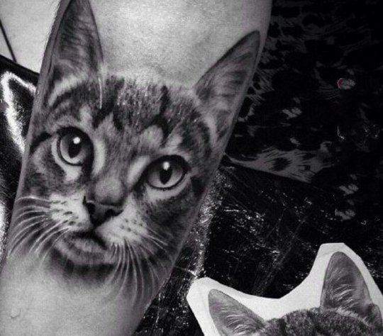 小猫咪纹身  设计感十足的小猫咪纹身图案