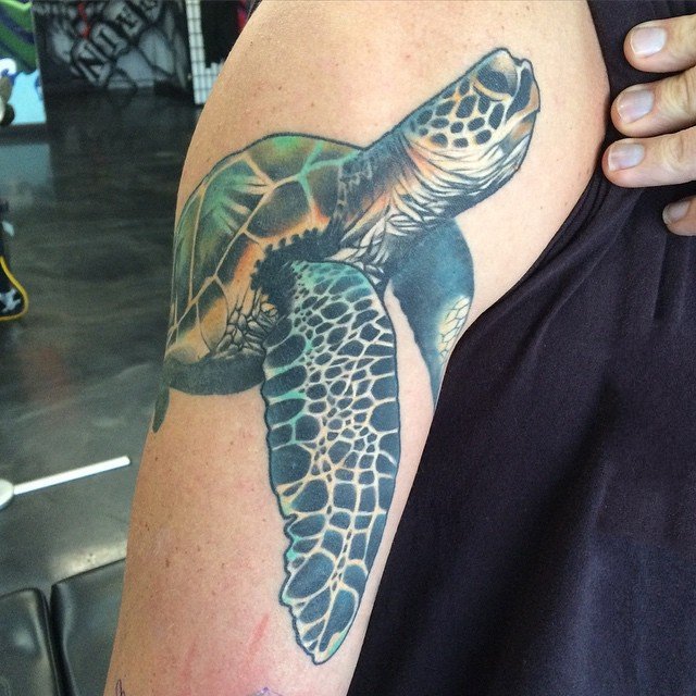 乌龟纹身图案   创意百变的乌龟纹身图案