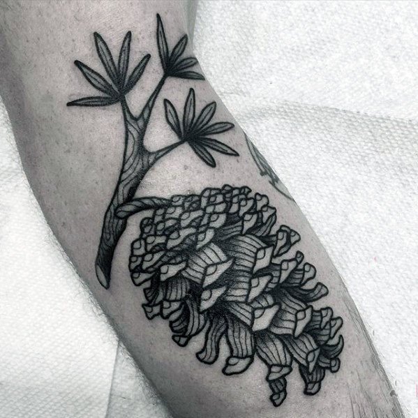 植物纹身   创意而又小巧的松果纹身图案