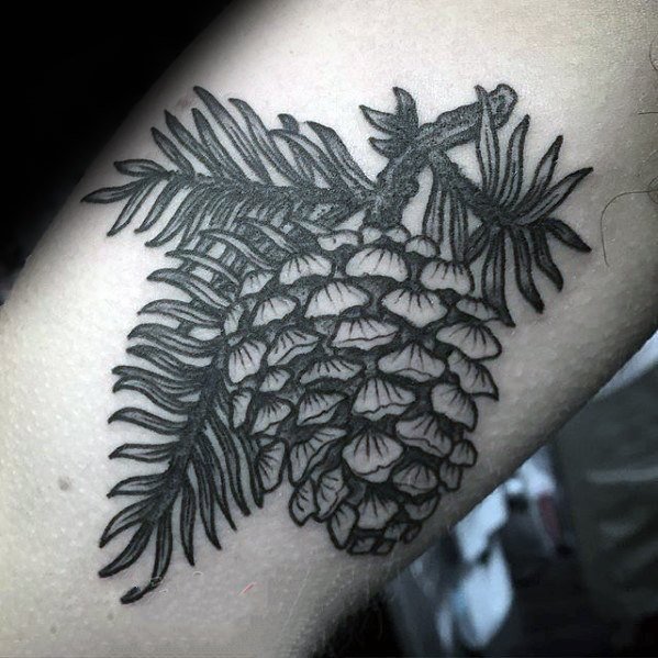 植物纹身   坚硬小巧的松果纹身图案