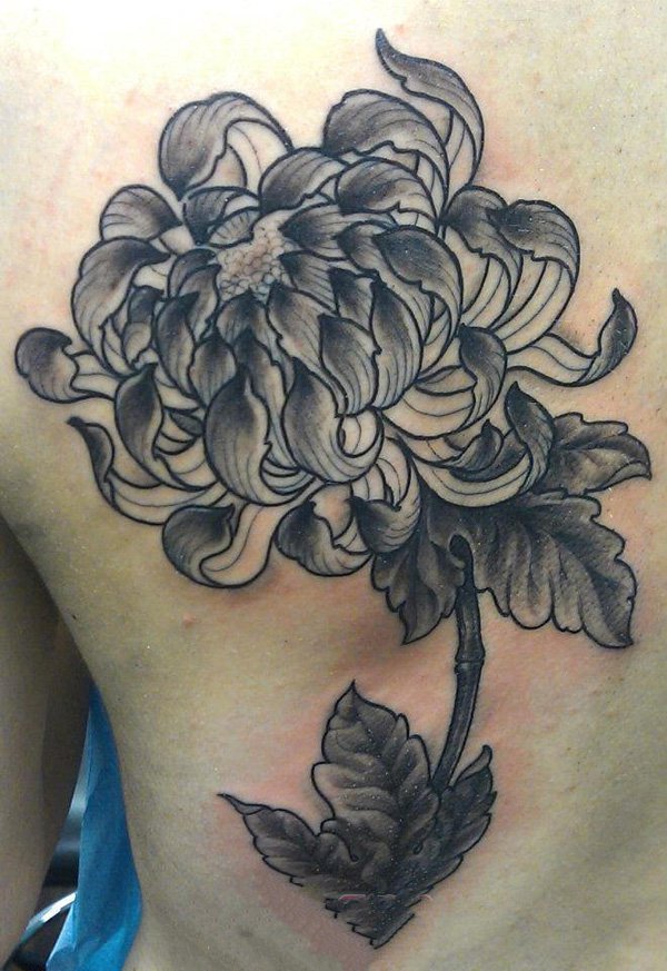 纹身菊花图案    肆意绽放的菊花纹身图案