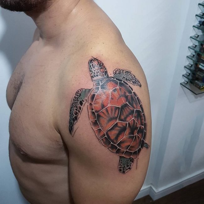 乌龟纹身图案   多款时尚的乌龟纹身图案