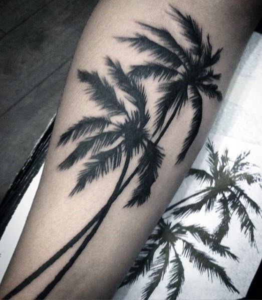 棕榈树纹身图案   清秀挺拔的棕榈树纹身图案