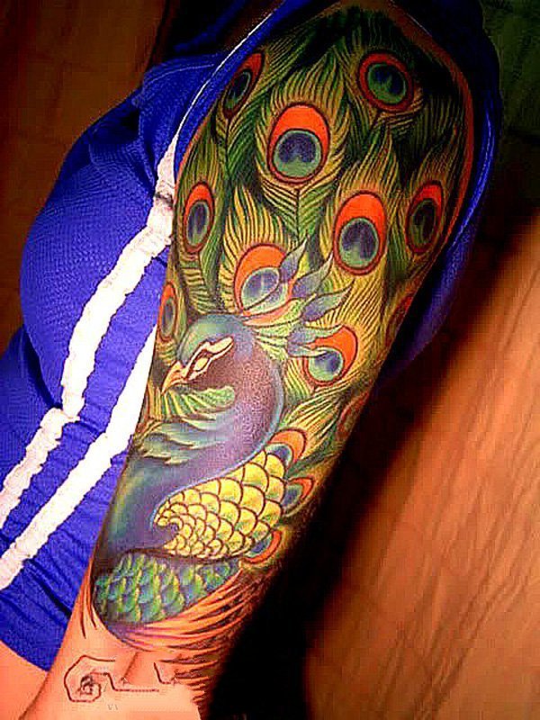 孔雀纹身图片   五光十色的孔雀纹身图案