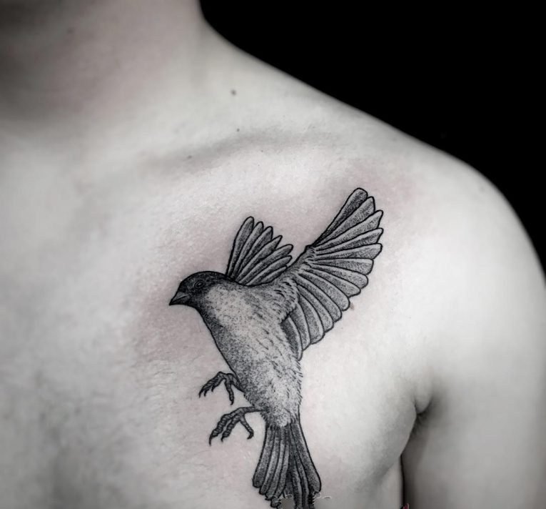 纹身鸟  羽翼丰满的鸟纹身图案