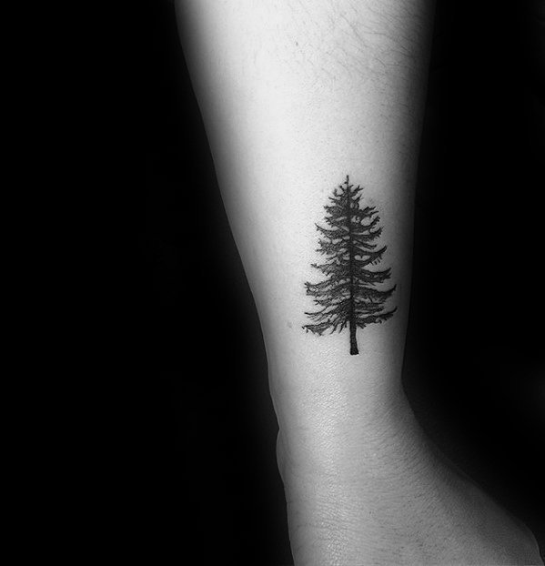 纹身树木的图像   生机勃勃的树木纹身图案