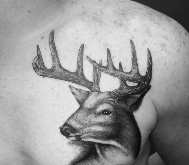 百乐动物纹身   多款可爱温顺的动物纹身图案