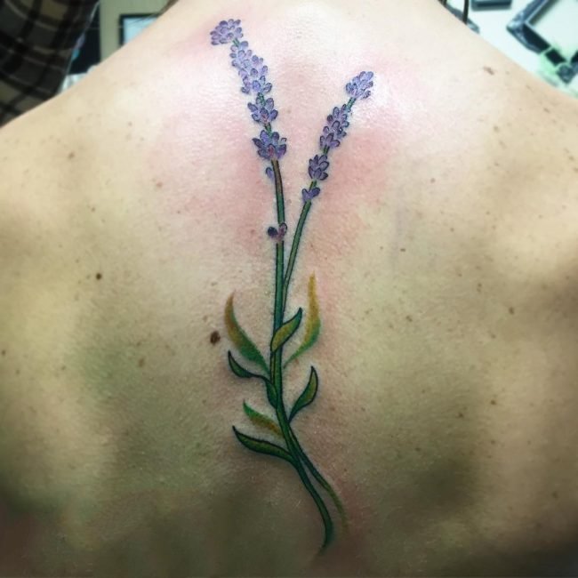 纹身图案花朵   多款芬芳扑鼻的花朵纹身图案