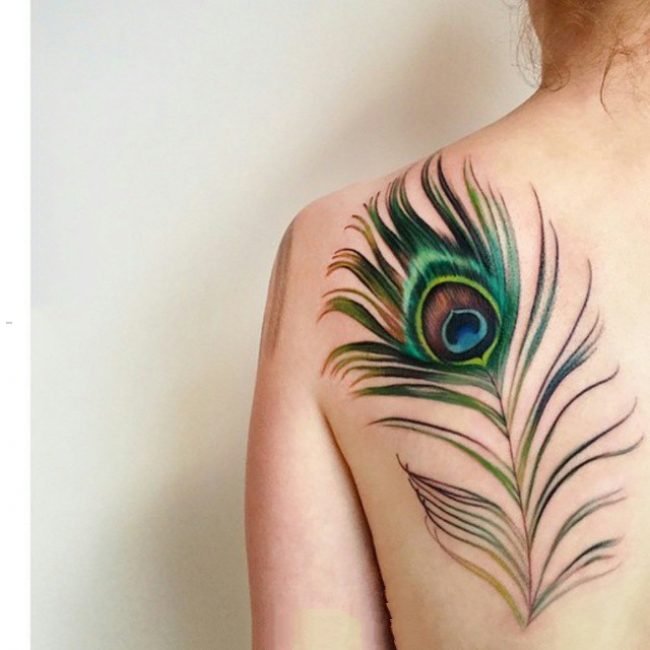 3d羽毛纹身 轻柔的彩色创意羽毛纹身图案