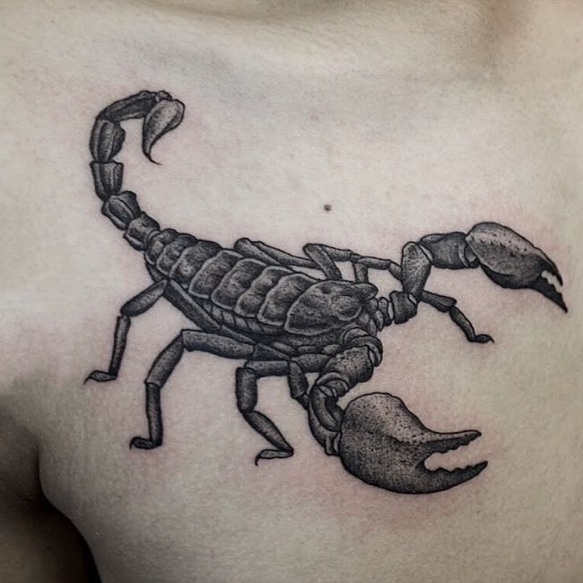蝎子图片纹身   气势十足的蝎子纹身图案
