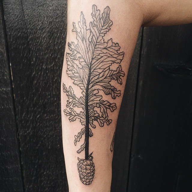 纹身植物图案  生机盎然的植物纹身图案