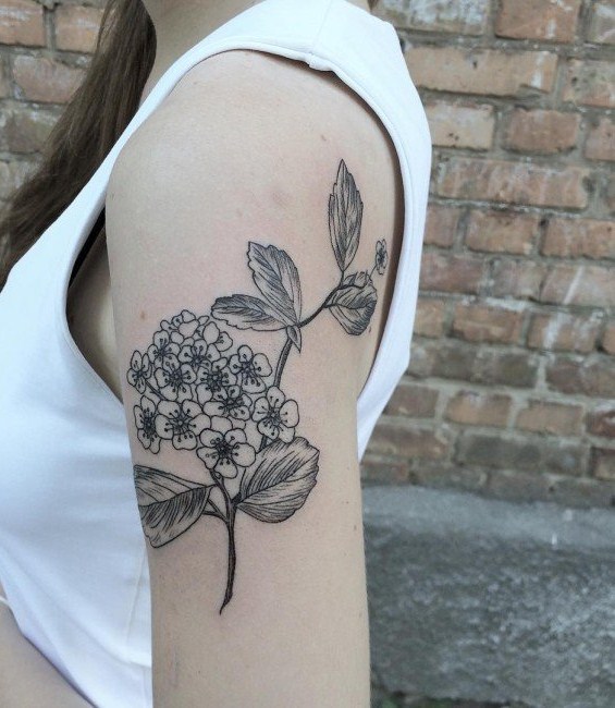 纹身图案花朵  唯美而又靓丽的花朵纹身图案