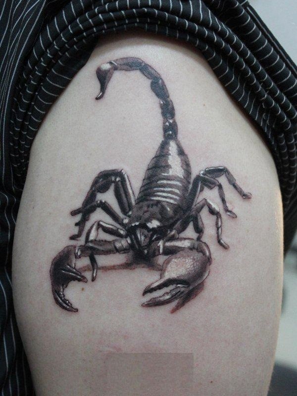 小动物纹身   个性张扬的小动物纹身图案