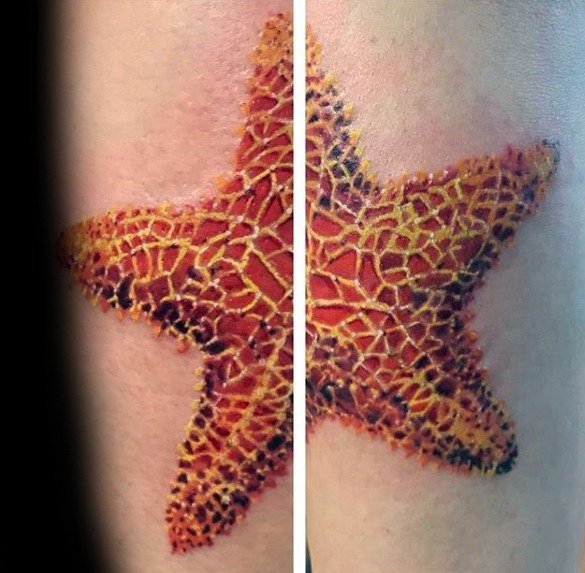 小动物纹身  身姿柔软的海星纹身图案