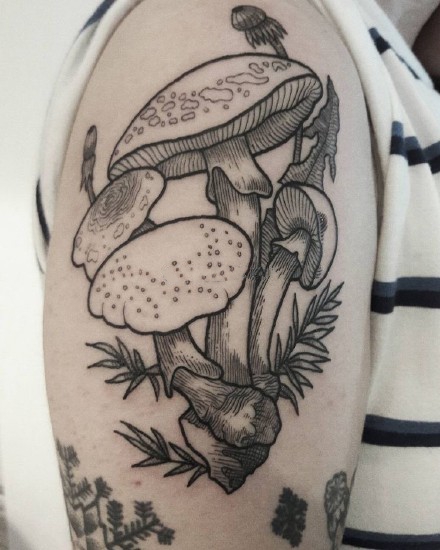 蘑菇纹身图案_9张黑灰蘑菇纹身图案刺青图片作品