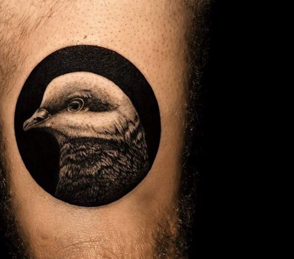 鸽子纹身图案_10张鸽子纹身图片作品图案