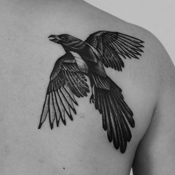 喜鹊纹身图_10张小鸟喜鹊的纹身图案作品图片