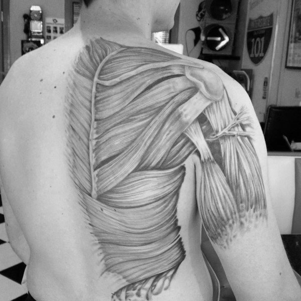 纹身黑色  纹路细腻的解剖纹身图案