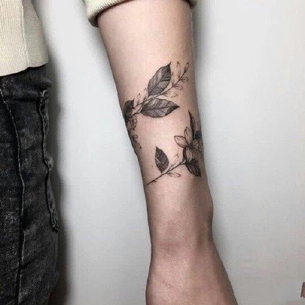 植物纹身-寻找一张属于自己的清新纹身图片