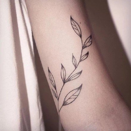 植物纹身-寻找一张属于自己的清新纹身图片