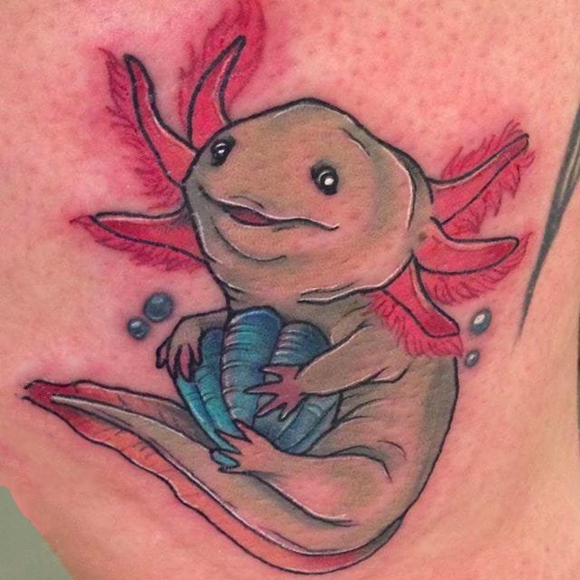 动物纹身图案-彩绘水彩素描创意两栖动物蝾螈鱼纹身图案