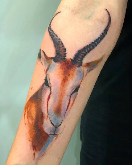 水彩动物纹身--几张漂亮的水彩色动物纹身作品图片