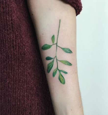 植物纹身图-一组把植物纹在身上的纹身图案作品