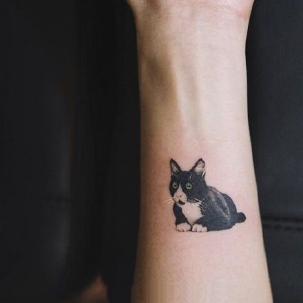 可爱的萌萌哒宠物小猫咪纹身作品图案